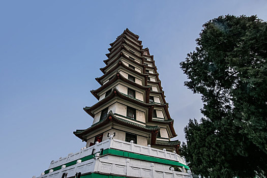 số gia lai