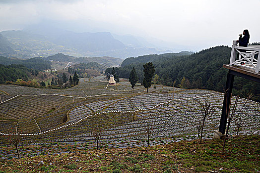 soi cầu lô đề chuẩn