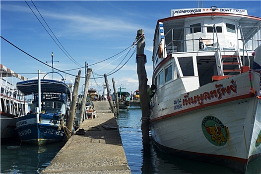 soi cau 6116