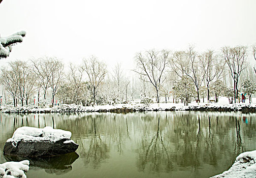 cầu bach thủ