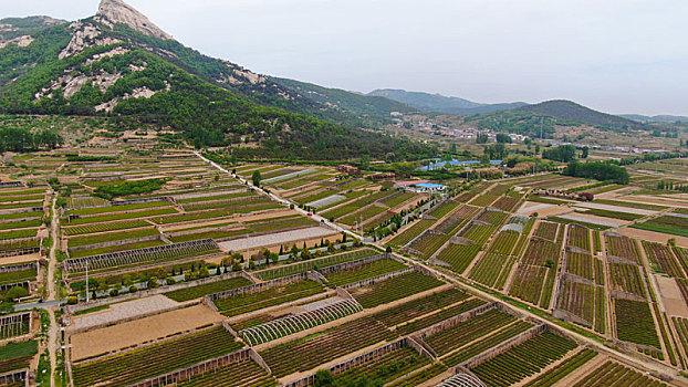 dàn đề hôm nay