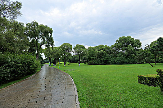 soi cau bach thu 3 mien
