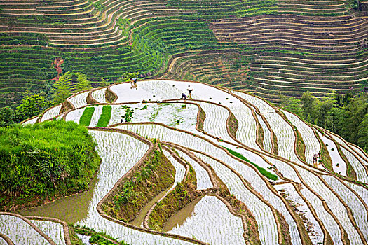 xổ số kiến thiết kiên giang hôm nay