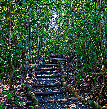 soi cau xs bach kim