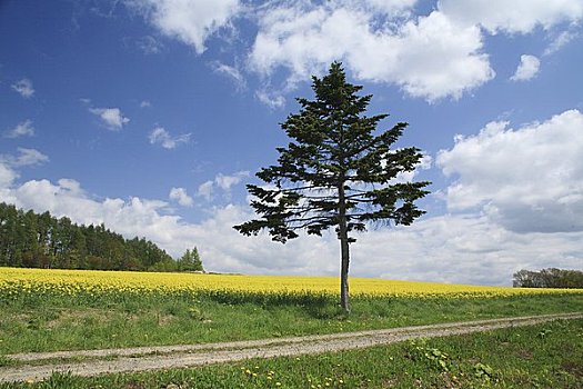du doan dau duoi mb