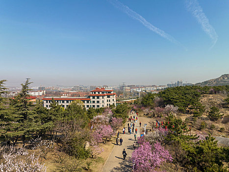 lo đề 88