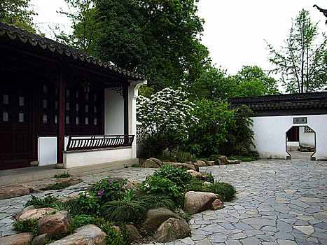 w88 cược