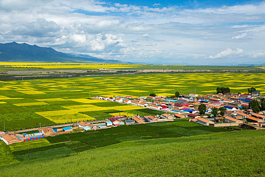 soi cau misa
