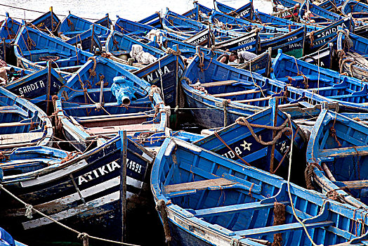 bạch thủ đề hôm nay miễn phí