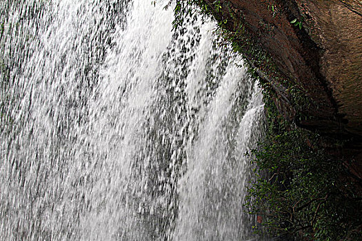 xs thu 4 hang tuan