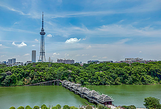 soi cau mo bi