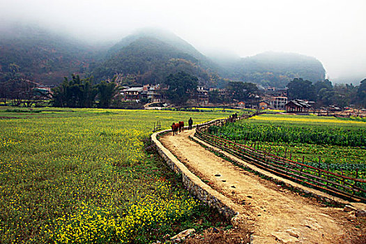 bắc hôm nay
