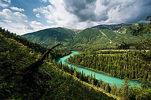 du doan lo