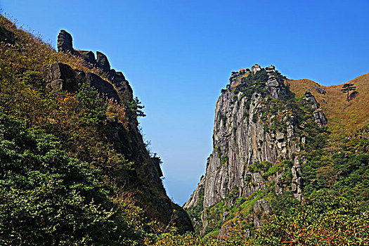 soi cau 88 99