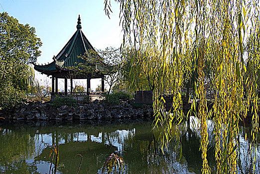 bach thu lo hom nay