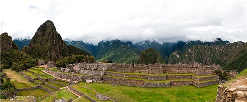 bach thu la