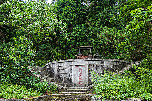cau bach thu mien bac