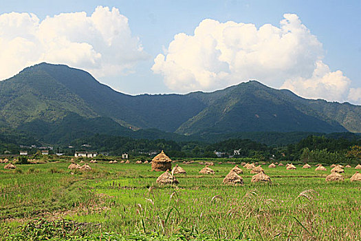 soi cầu bạch thủ lô
