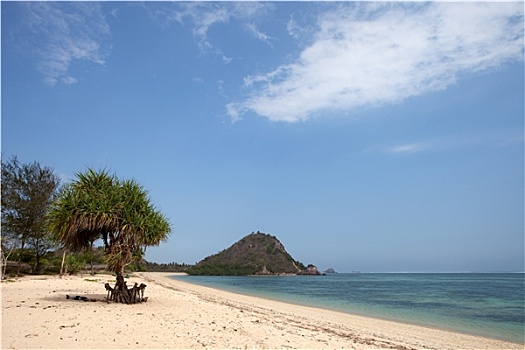 chốt số hàng ngày