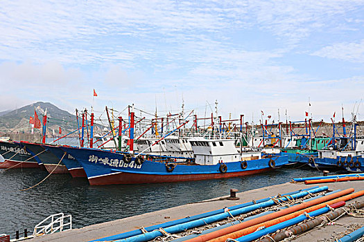 soi rong bach kim