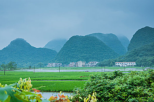 soi cau chuan 14