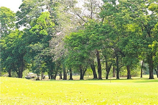 soi cầu misa