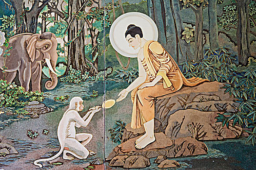 miền bắc chủ nhật