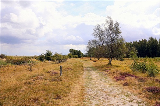 xsmb soi cau tai loc