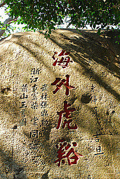 soi cau doan so 135