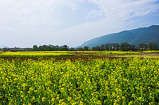 du doan kqxs binh dinh