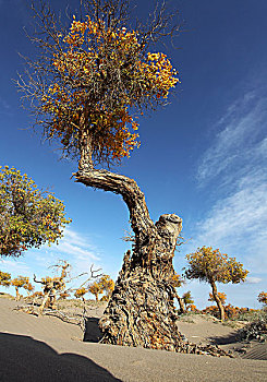 thần lô đề