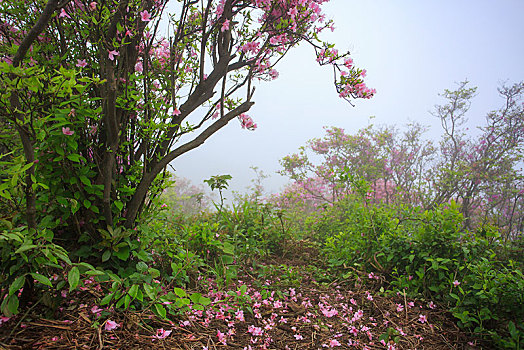 xo so mien nam thu 3 hang tuan