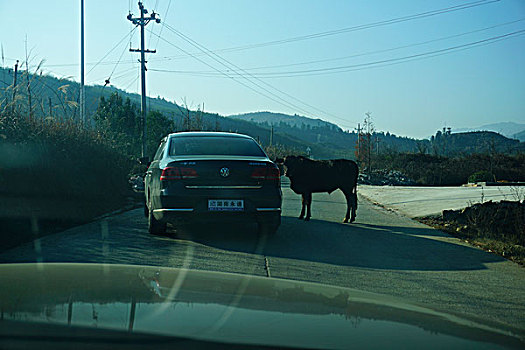 thống kê vip mb