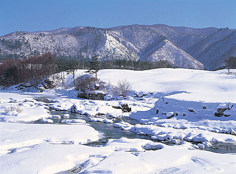 thong ke rong bach kim