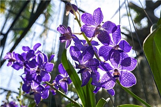 cầu lô tô miền bắc