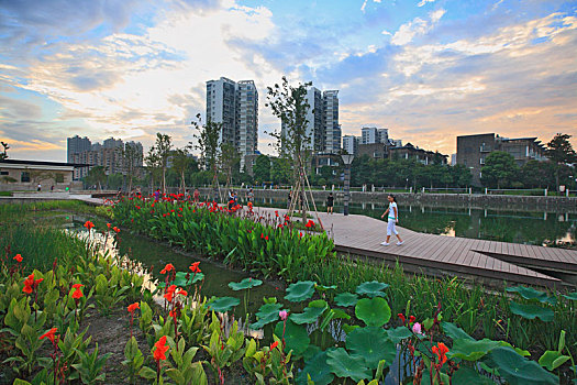 quay thử xổ số miền nam