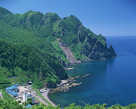 soi bạch thủ lô