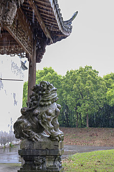 mjsa soi cau