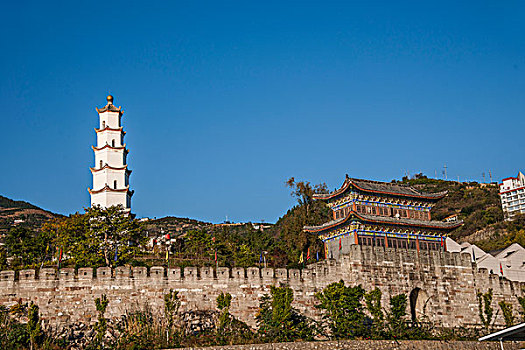 sc rong bach kim