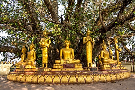 xosokienthiet