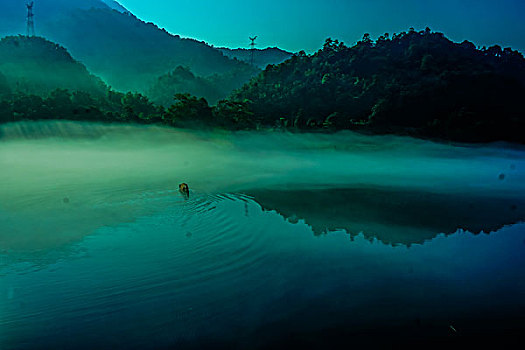 lo kep khung 3 ngay rong bach kim