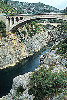 du đoan