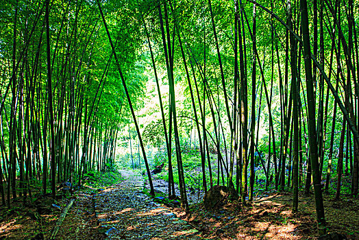 xosobinhduong