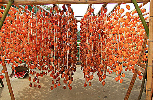 trực tiếp xổ số an giang