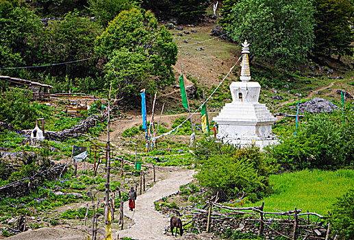 số cần thơ