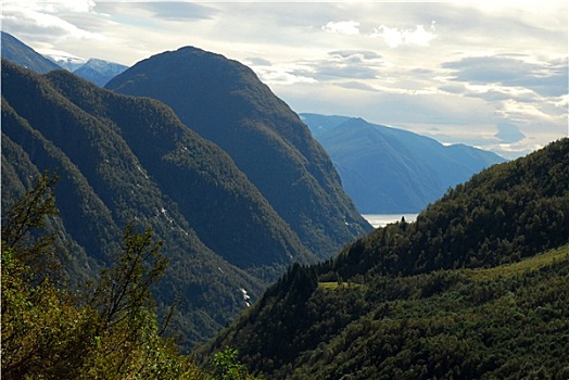 soi cau rong bach kim mb