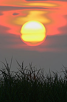 soi cầu 666