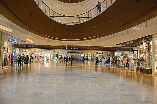 bạch thủ lô miền bắc