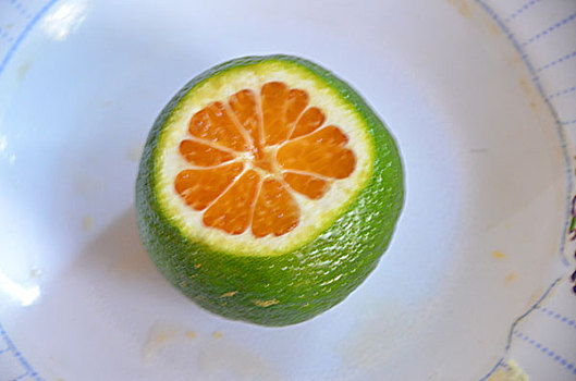 cầu lô miền nam