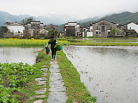 568 soi cầu